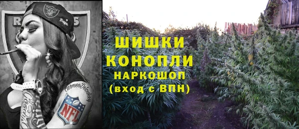 соль ск Алексеевка