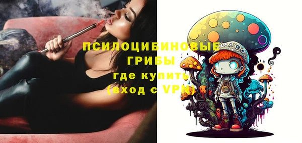 spice Алексин