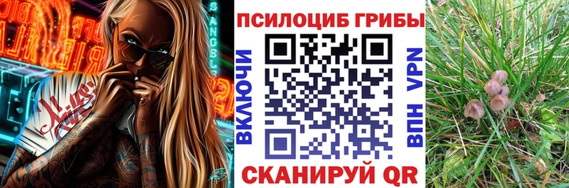 Галлюциногенные грибы MAGIC MUSHROOMS  Салават 